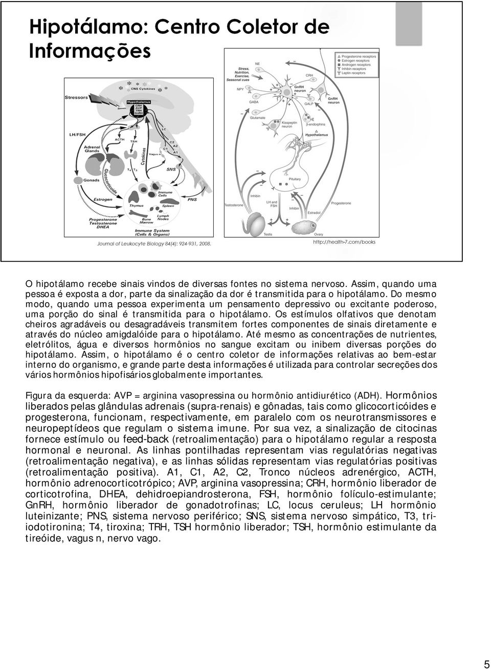 Os estímulos olfativos que denotam cheiros agradáveis ou desagradáveis transmitem fortes componentes de sinais diretamente e através do núcleo amigdalóide para o hipotálamo.