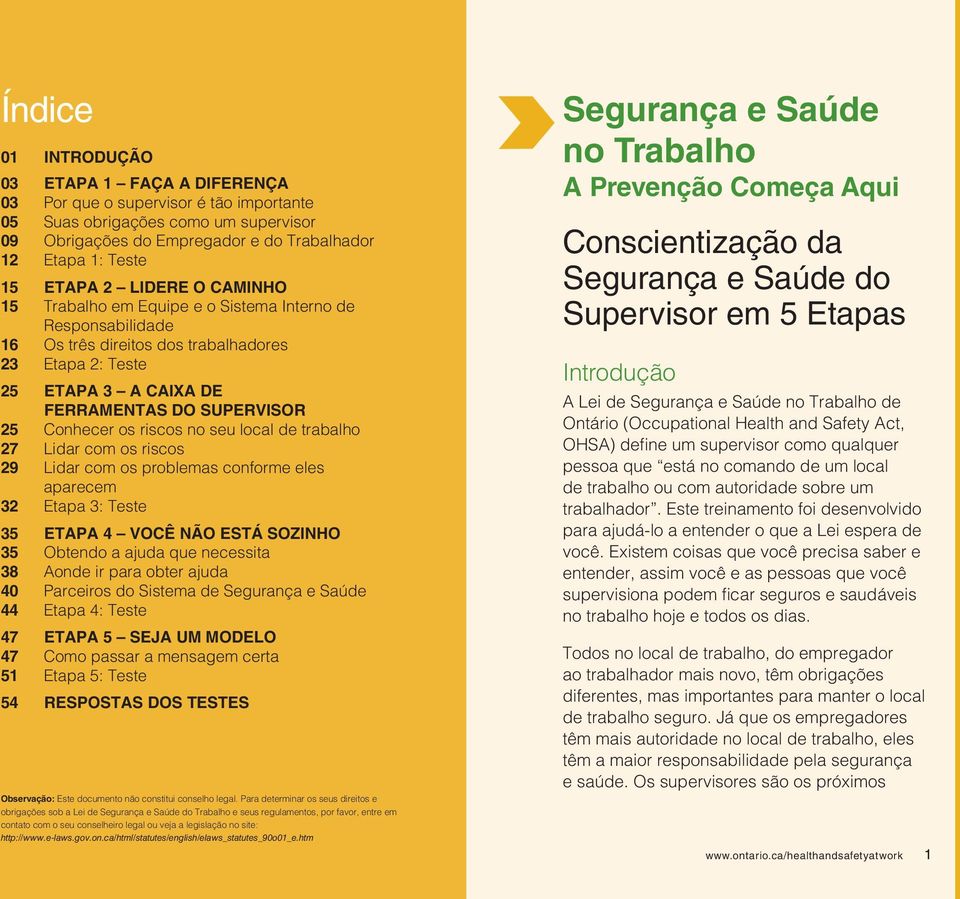 riscos no seu local de trabalho 27 Lidar com os riscos 29 Lidar com os problemas conforme eles aparecem 32 Etapa 3: Teste 35 Etapa 4 Você não está sozinho 35 Obtendo a ajuda que necessita 38 Aonde ir