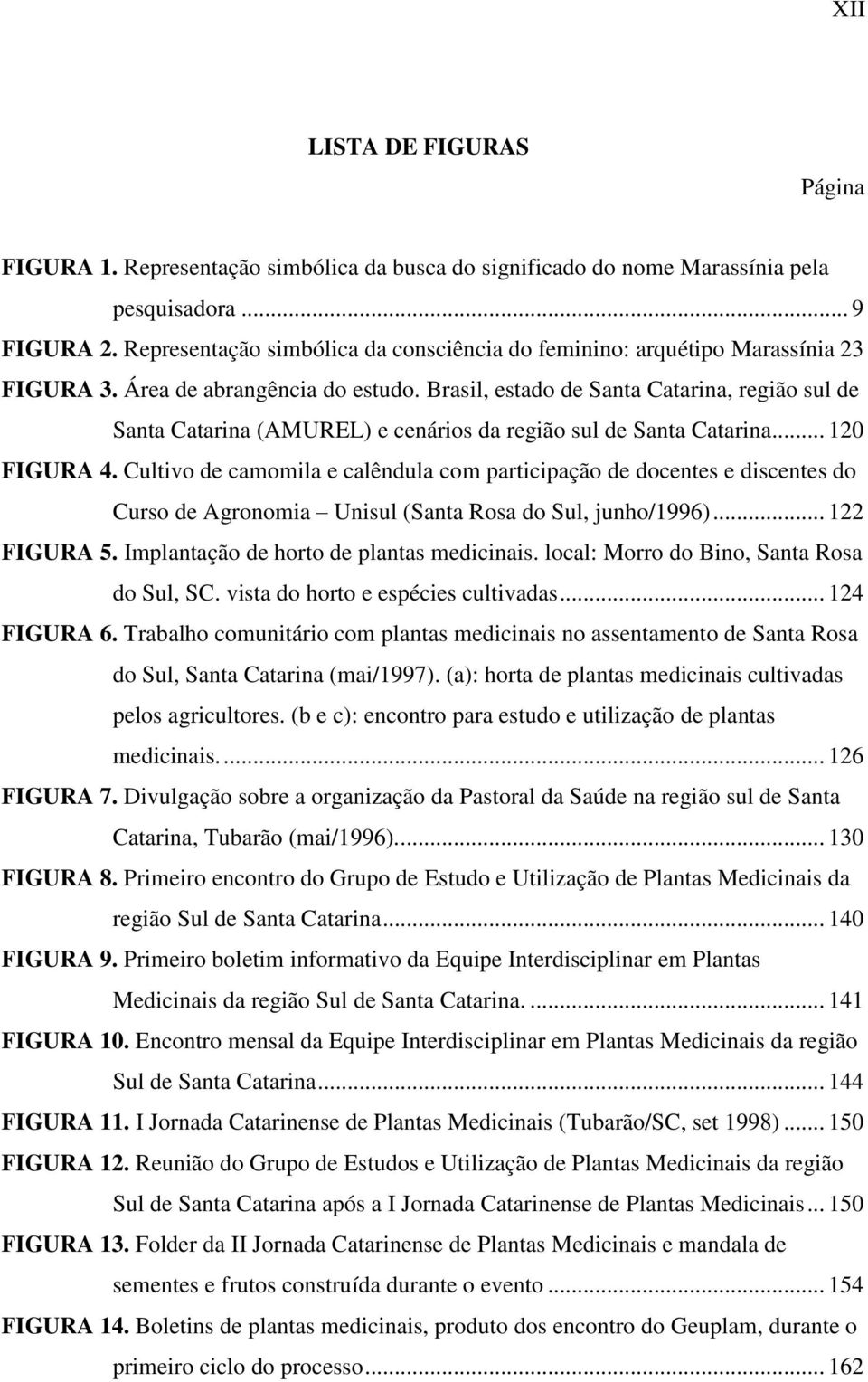 Brasil, estado de Santa Catarina, região sul de Santa Catarina (AMUREL) e cenários da região sul de Santa Catarina... 120 FIGURA 4.