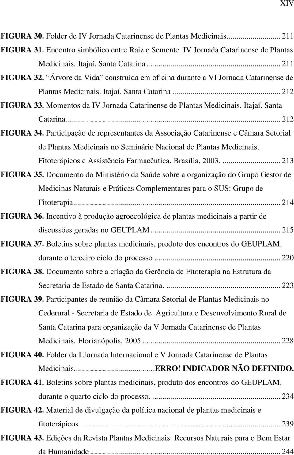 Momentos da IV Jornada Catarinense de Plantas Medicinais. Itajaí. Santa Catarina... 212 FIGURA 34.
