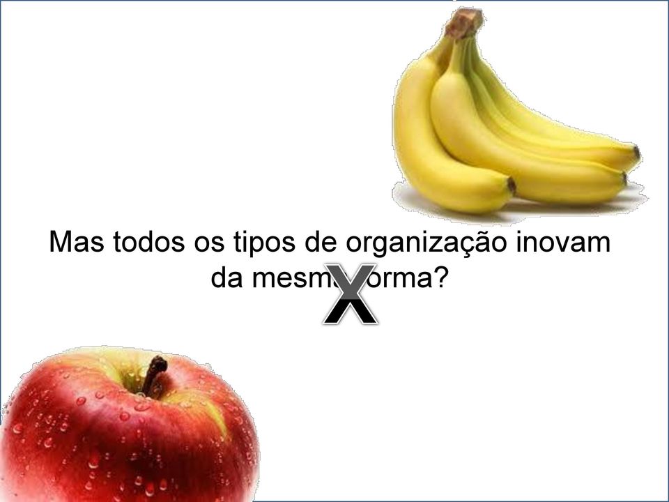 organização