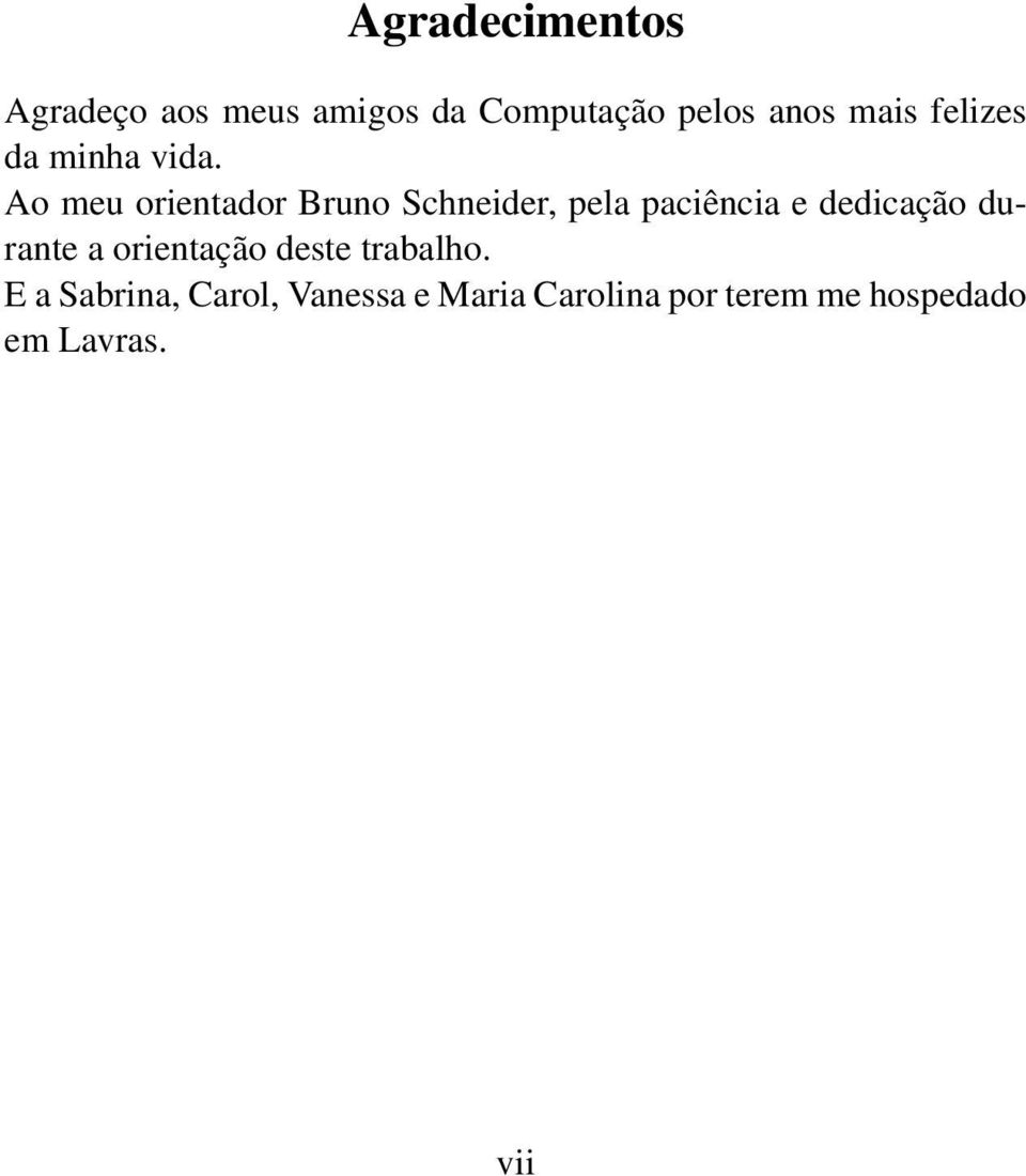 Ao meu orientador Bruno Schneider, pela paciência e dedicação