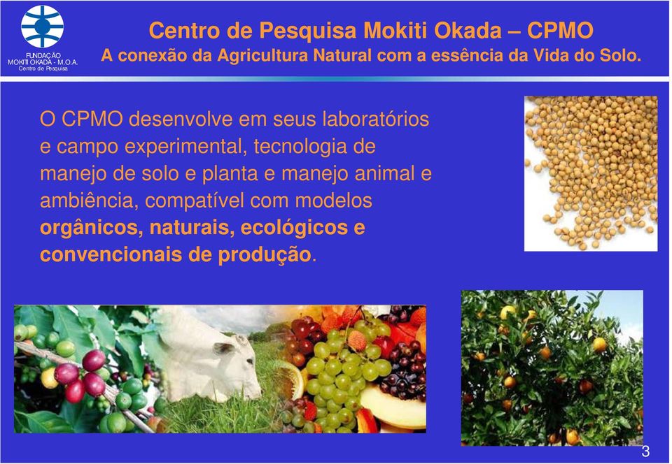 O CPMO desenvolve em seus laboratórios e campo experimental, tecnologia