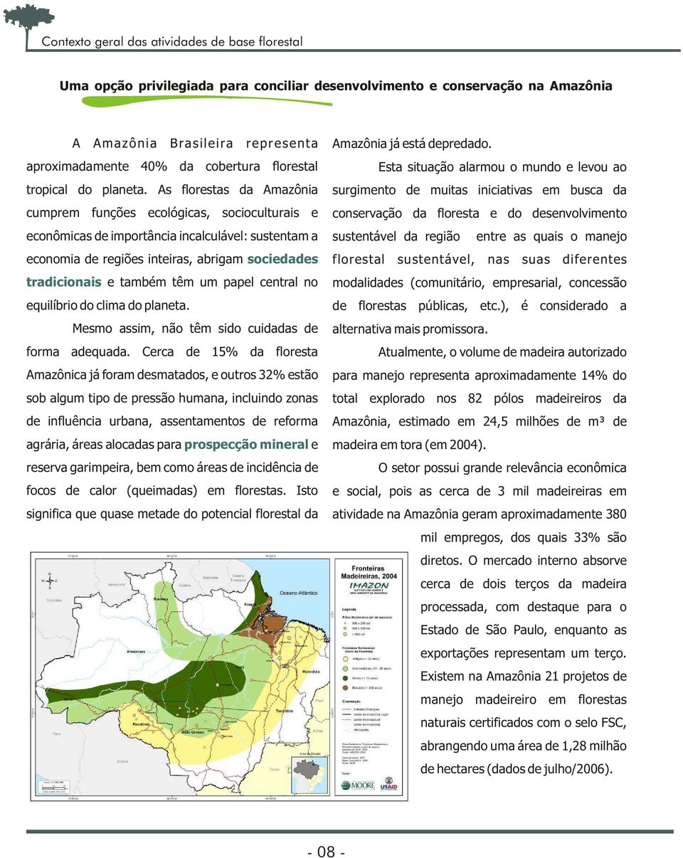 As florestas da Amazônia cumprem funções ecológicas, socioculturais e econômicas de importância incalculável: sustentam a economia de regiões inteiras, abrigam sociedades tradicionais e também têm um