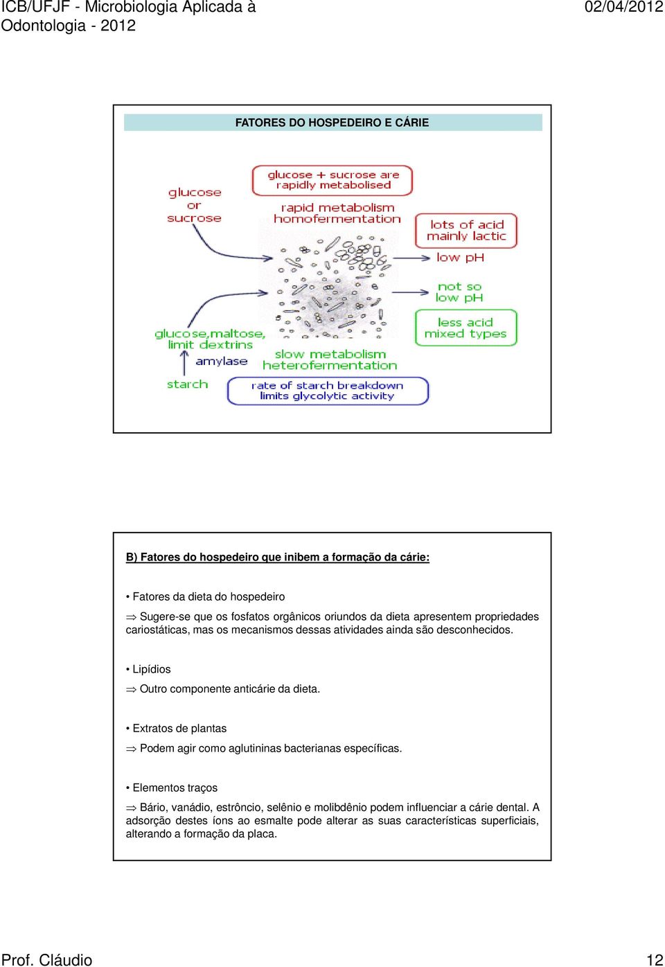 Lipídios Outro componente anticárie da dieta. Extratos de plantas Podem agir como aglutininas bacterianas específicas.