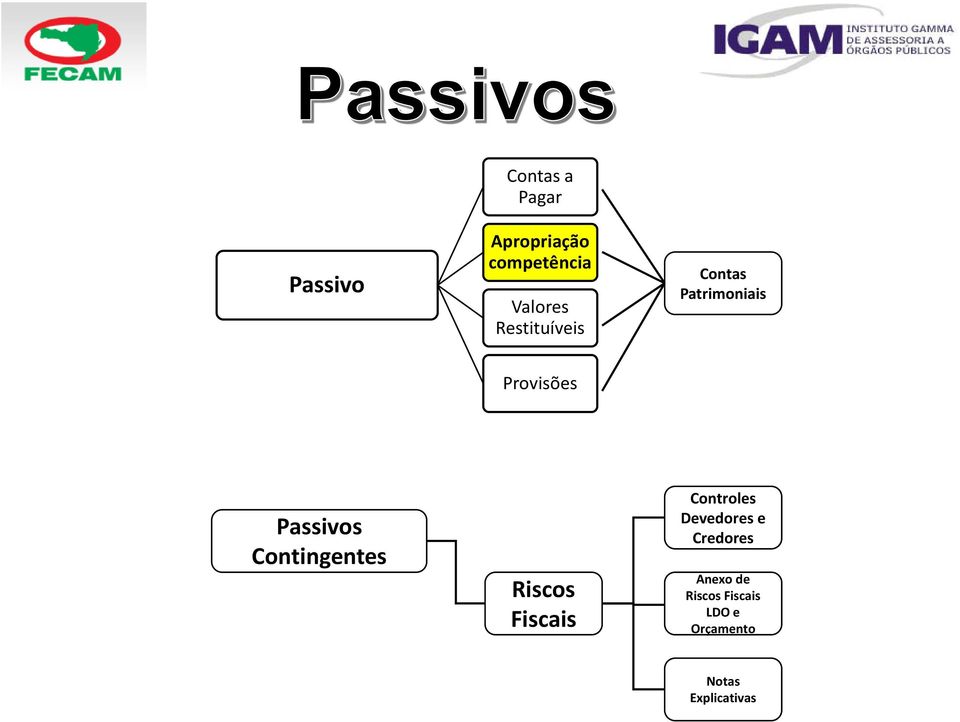 Contingentes Riscos Fiscais Controles Devedores e