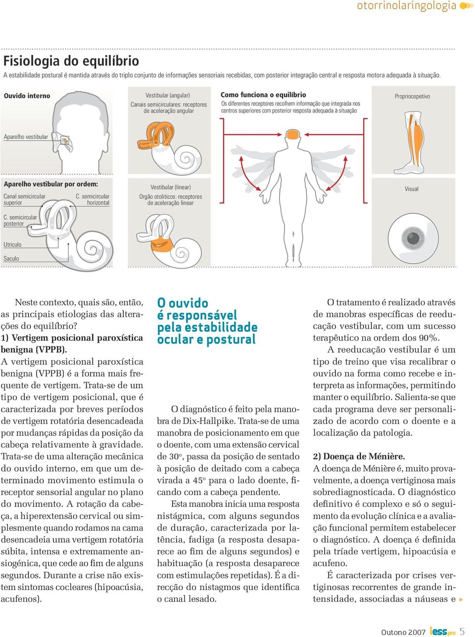 Ouvido interno Vestibular (angular) Canais semicirculares: receptores de aceleração angular Como funciona o equilíbrio Os diferentes receptores recolhem informação que integrada nos centros