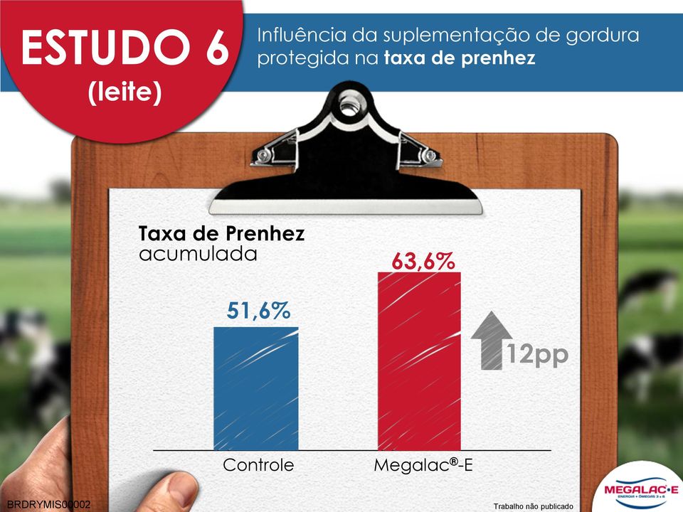 de prenhez Taxa de Prenhez acumulada 63,6%