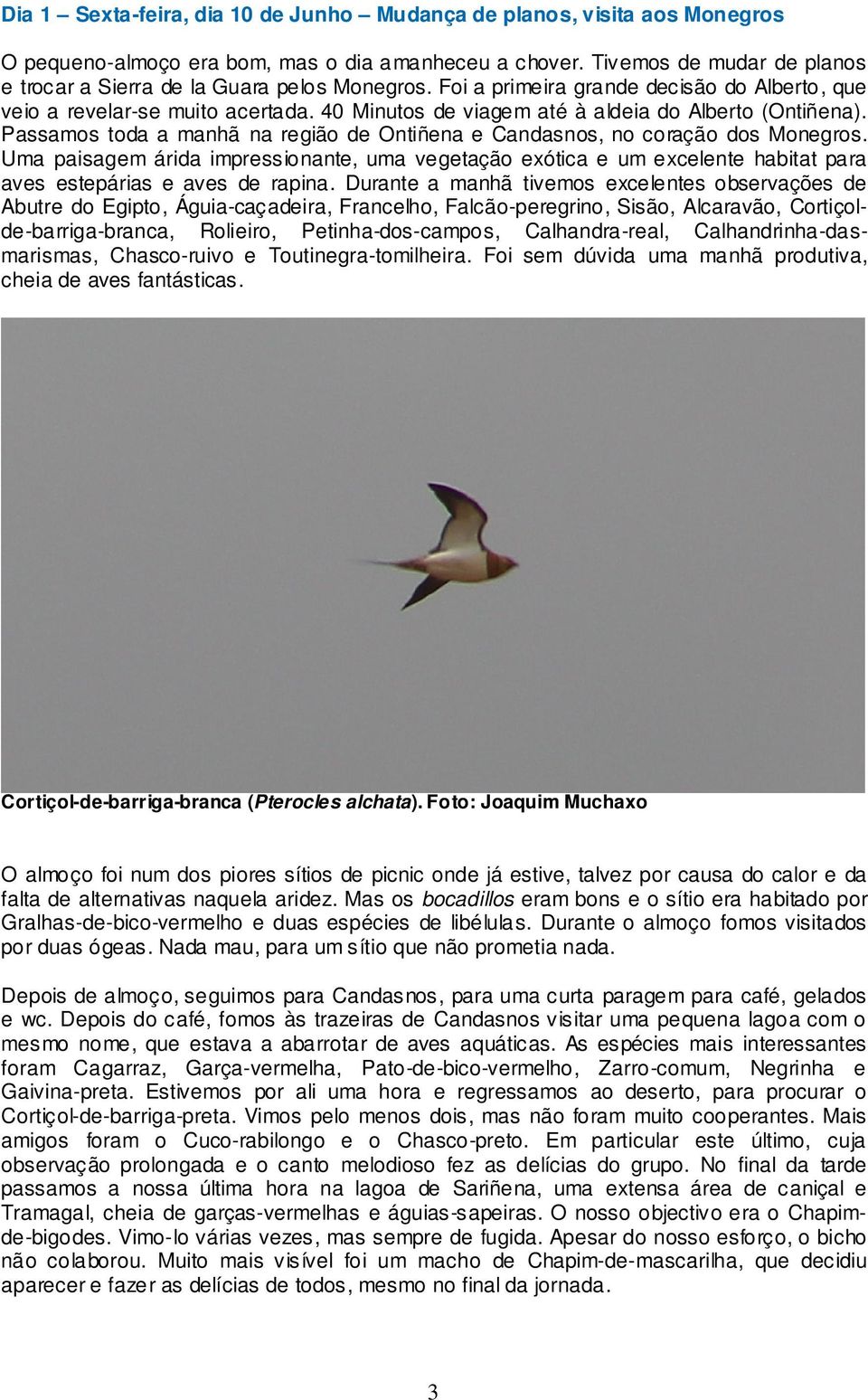 40 Minutos de viagem até à aldeia do Alberto (Ontiñena). Passamos toda a manhã na região de Ontiñena e Candasnos, no coração dos Monegros.