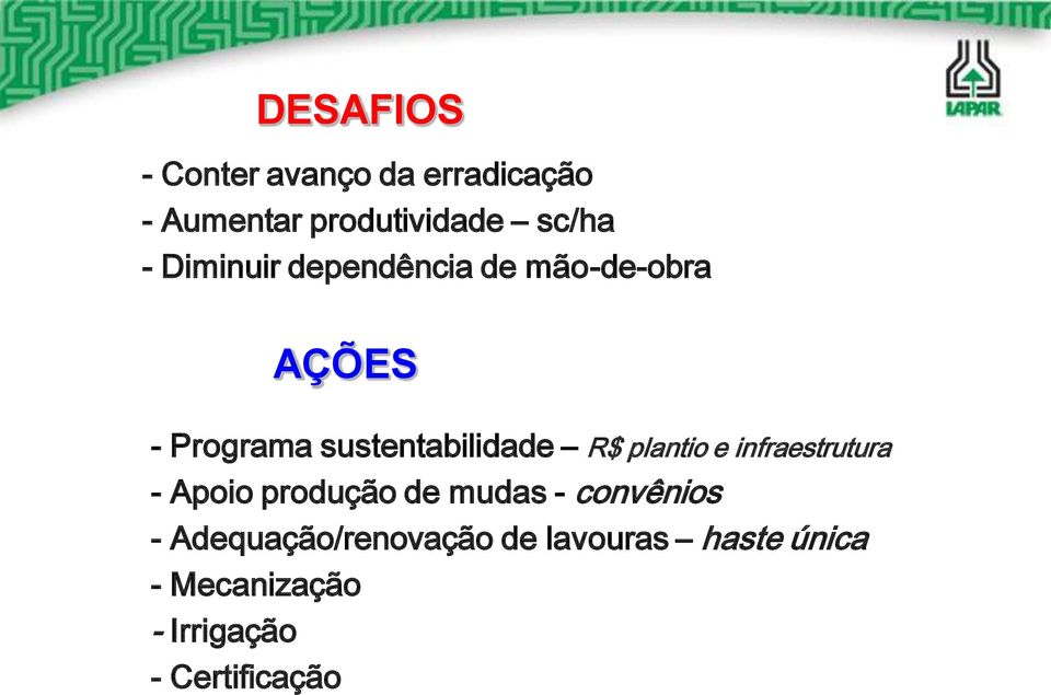 plantio e infraestrutura - Apoio produção de mudas - convênios -