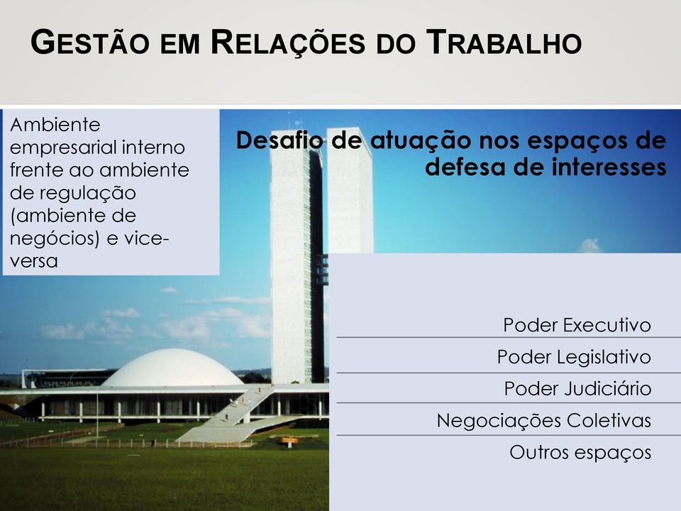 de atuação nos espaços de defesa de interesses Poder Executivo