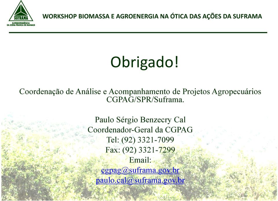 Agropecuários CGPAG/SPR/Suframa.