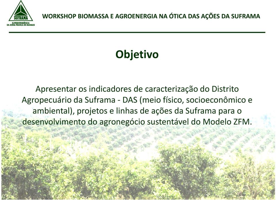 socioeconômico e ambiental), projetos e linhas de ações da