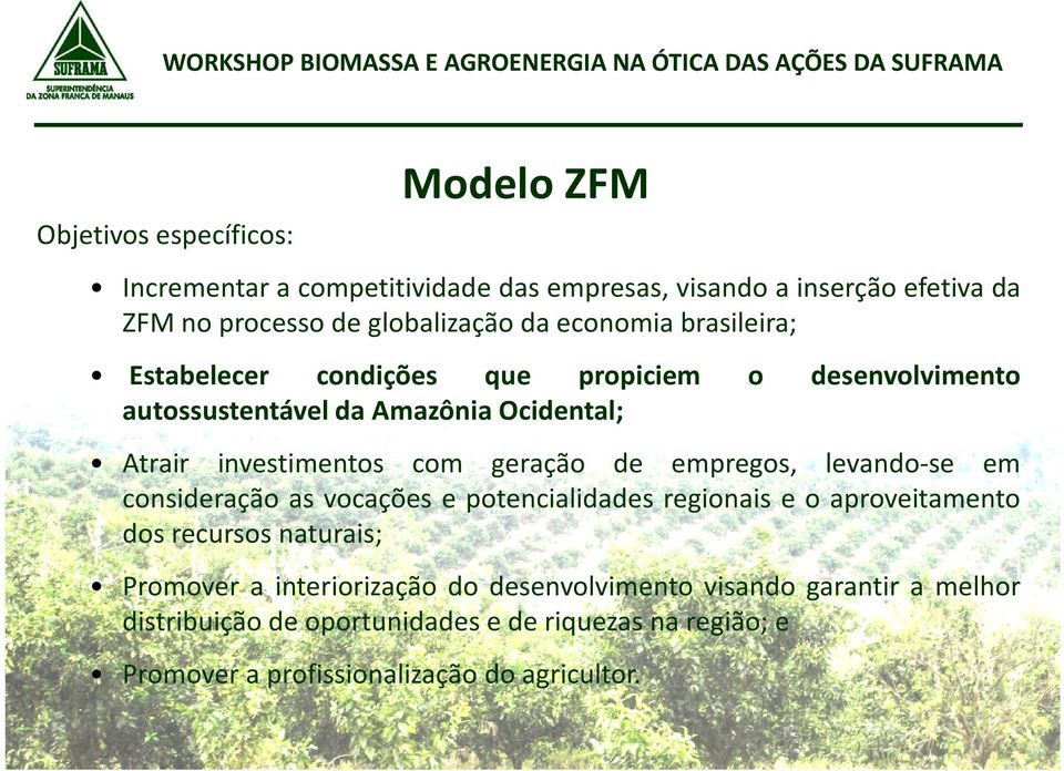 geração de empregos, levando-se em consideração as vocações e potencialidades regionais e o aproveitamento dos recursos naturais; Promover a