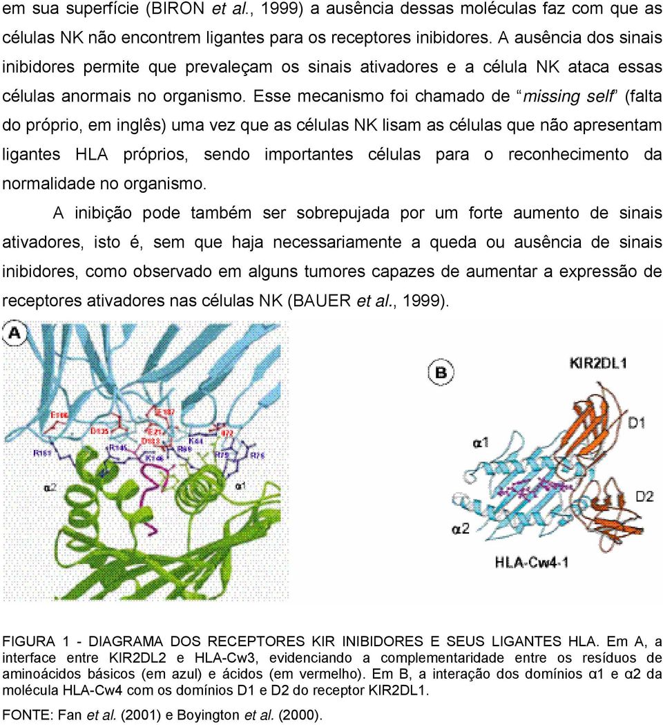 Esse mecanismo foi chamado de missing self (falta do próprio, em inglês) uma vez que as células NK lisam as células que não apresentam ligantes HLA próprios, sendo importantes células para o