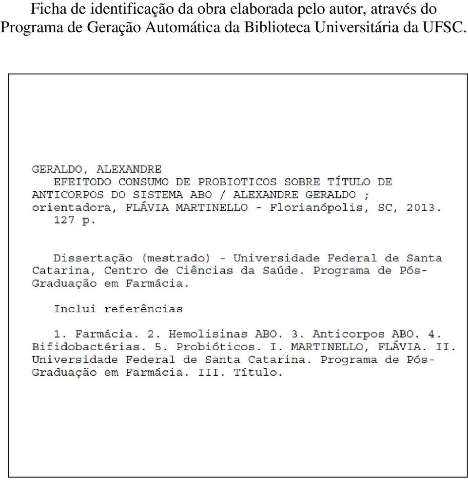 Programa de Geração Automática