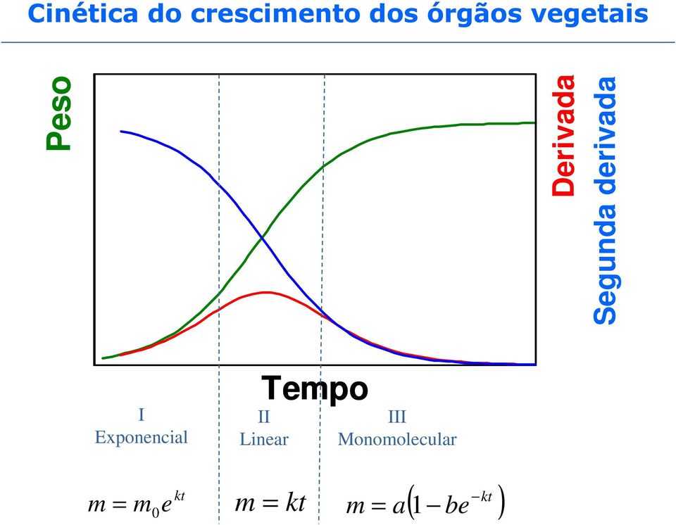 I Exponencial Tempo II Linear III