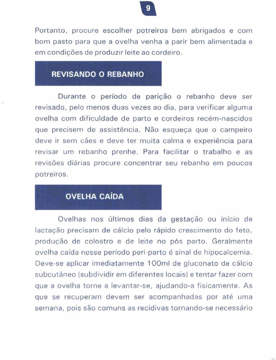 precisem de assistência. Não esqueça Que o campeiro deve ir sem cães e deve ter muita calma e experiência para revisar um rebanho prenhe.