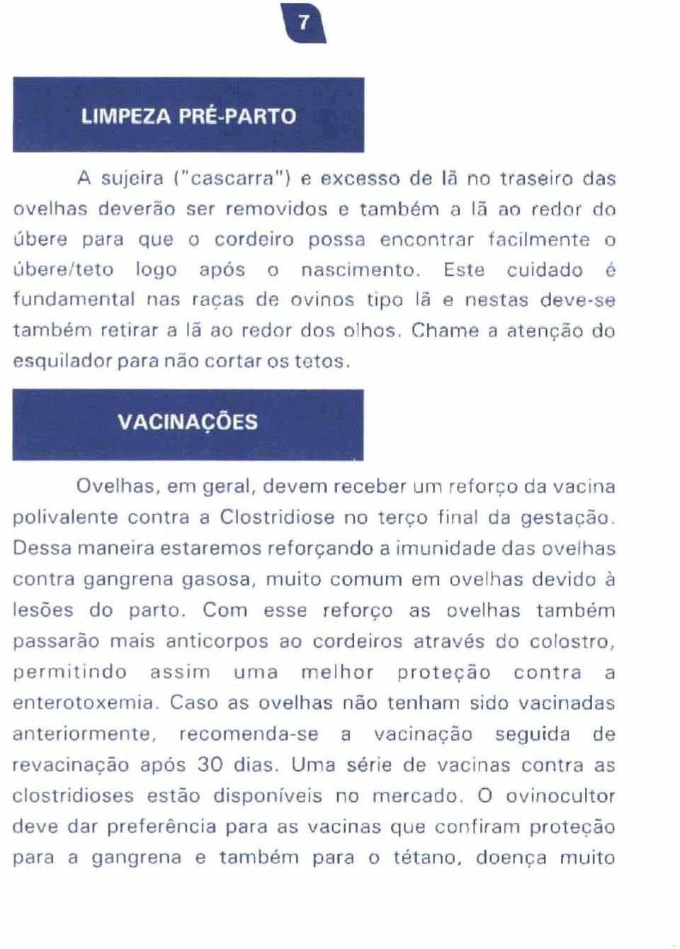 VACINAÇÕES Ovelhas, em geral, devem receber um reforço da vacina polivalente contra a Clostridiose no terço final da gestação _ Dessa maneira estaremos reforçando a imunidade das ovelhas contra