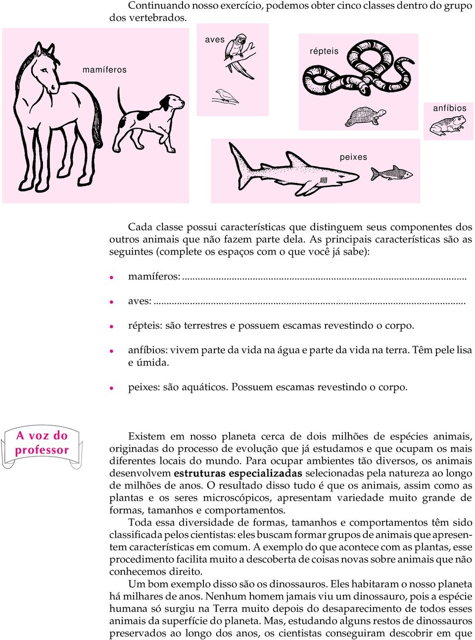 As principais características são as seguintes (complete os espaços com o que você já sabe): l mamíferos:... l aves:... l l l peixes répteis: são terrestres e possuem escamas revestindo o corpo.