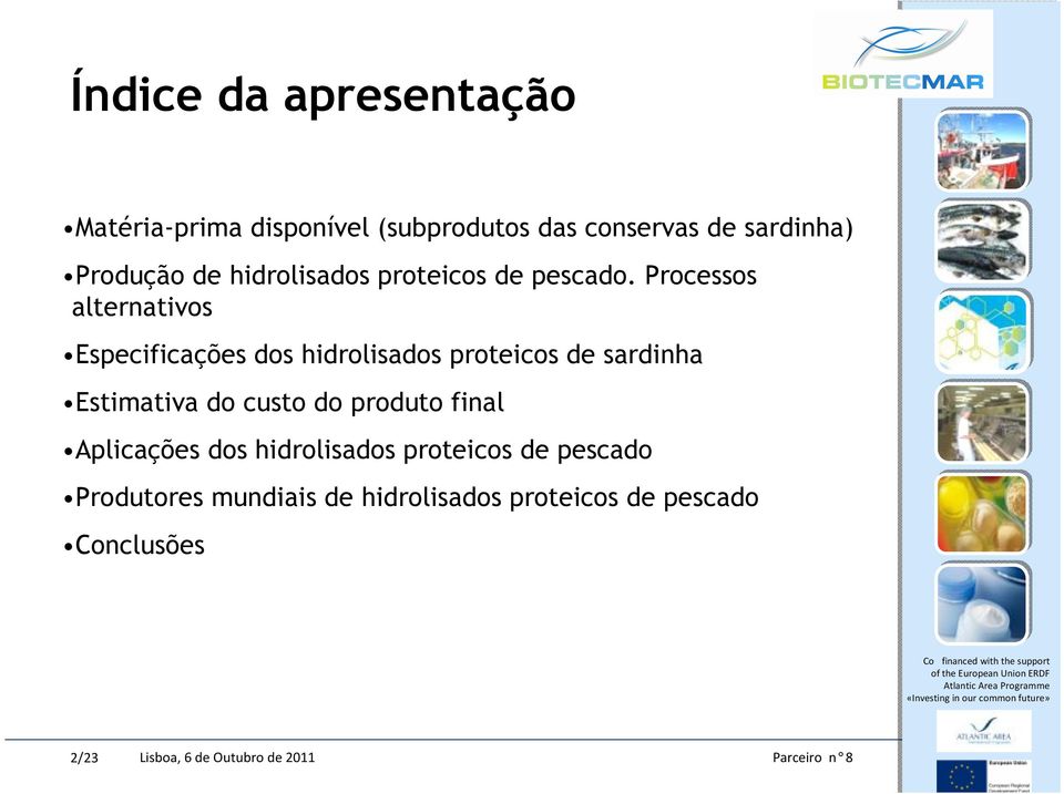 Processos alternativos Especificações dos hidrolisados proteicos de sardinha Estimativa do custo do