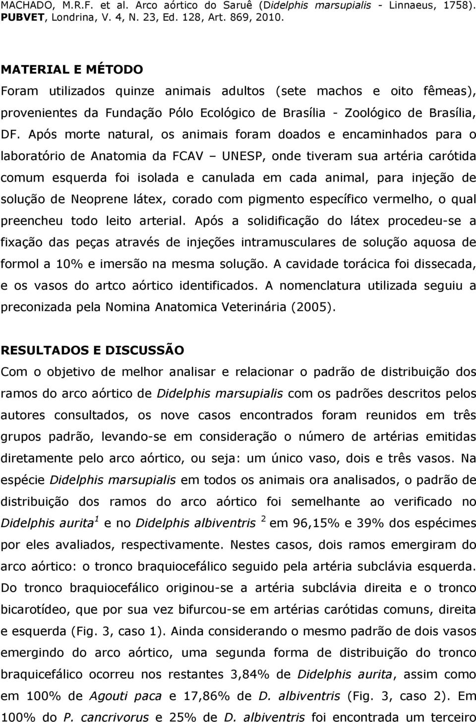 injeção de solução de Neoprene látex, corado com pigmento específico vermelho, o qual preencheu todo leito arterial.