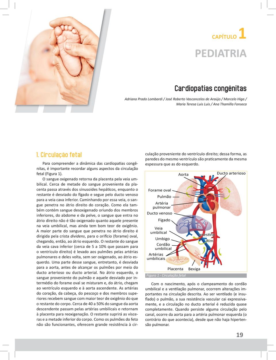 O sangue oxigenado retorna da placenta pela veia umbilical.