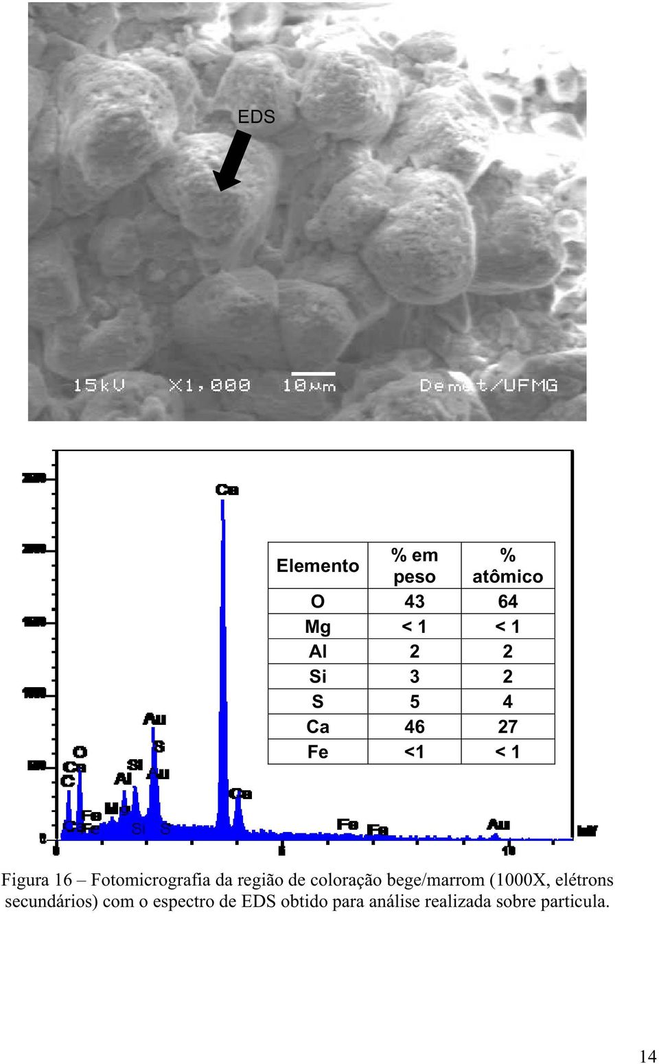 de coloração bege/marrom (1000X, elétrons secundários) com o