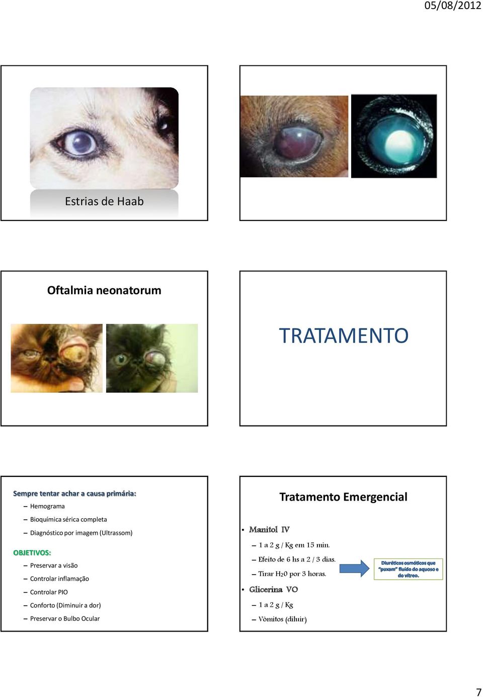 Controlar PIO Conforto (Diminuir a dor) Preservar o Bulbo Ocular Tratamento Emergencial Manitol IV 1 a 2 g