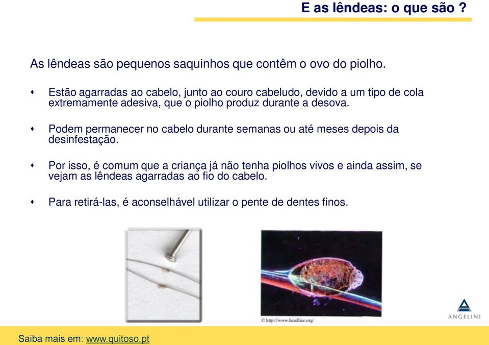 durante a desova. Podem permanecer no cabelo durante semanas ou até meses depois da desinfestação.