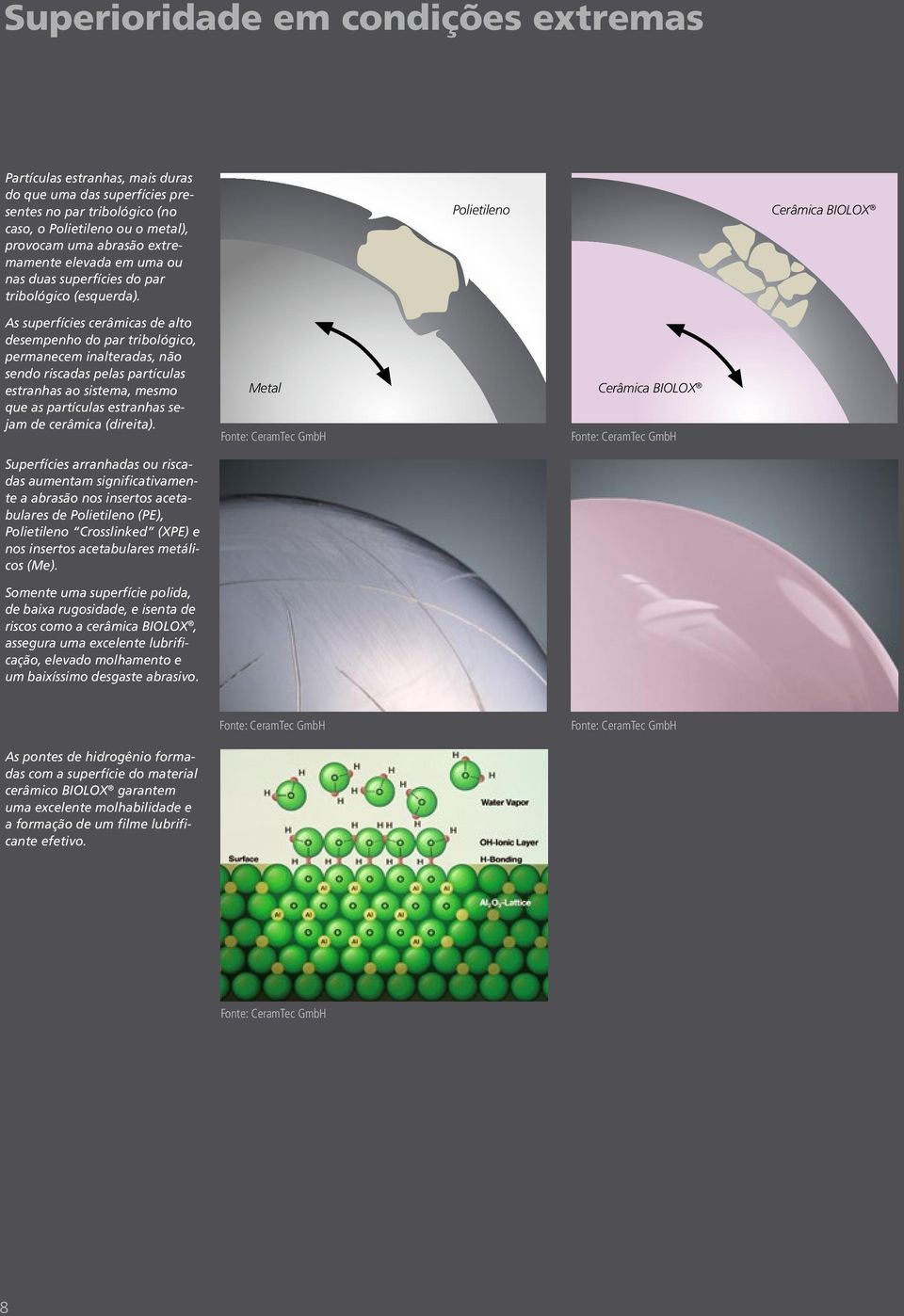 Polietileno Cerâmica BIOLOX As superfícies cerâmicas de alto desempenho do par tribológico, permanecem inalteradas, não sendo riscadas pelas partículas estranhas ao sistema, mesmo que as partículas