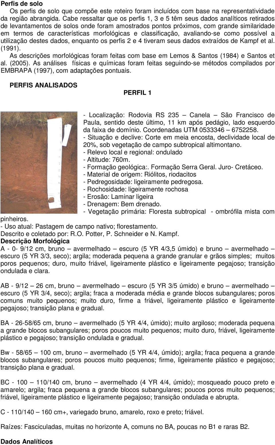 morfológicas e classificação, avaliando-se como possível a utilização destes dados, enquanto os perfis 2 e 4 tiveram seus dados extraídos de Kampf et al. (1991).