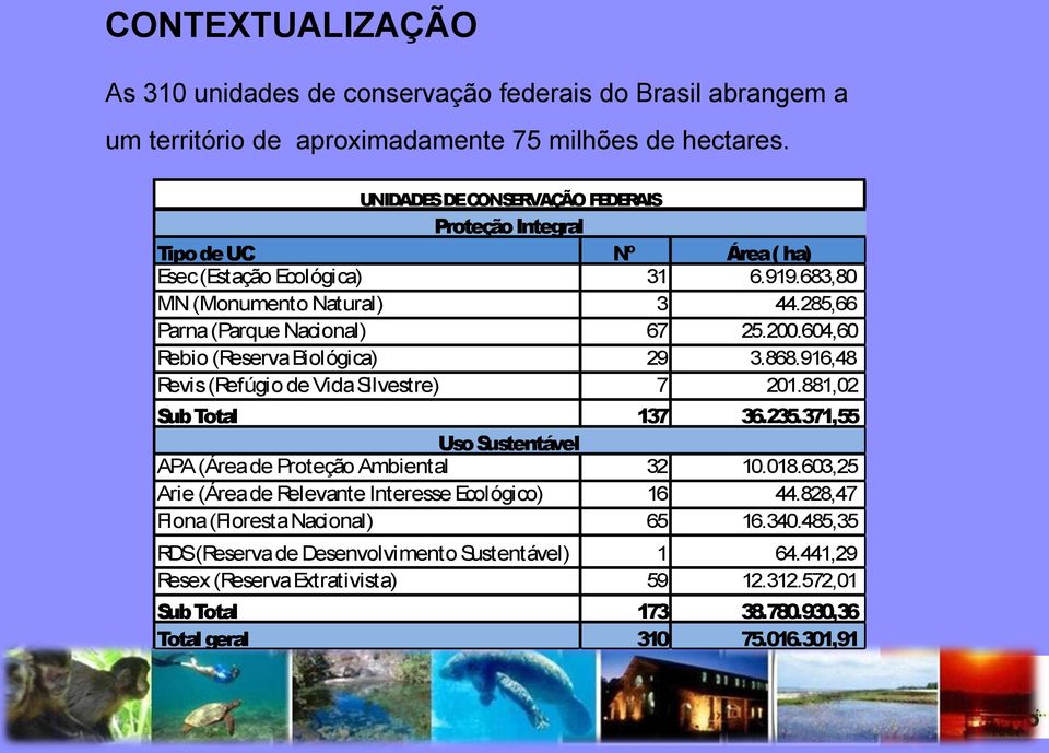 604,60 Rebio (Reserva Biológica) 29 3.868.916,48 Revis (Refúgio de Vida Silvestre) 7 201.881,02 Sub Total 137 36.235.371,55 Uso Sustentável APA (Área de Proteção Ambiental 32 10.018.