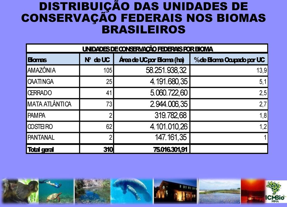 938,32 13,9 CAATINGA 25 4.191.680,35 5,1 CERRADO 41 5.060.722,60 2,5 MATA ATLÂNTICA 73 2.944.