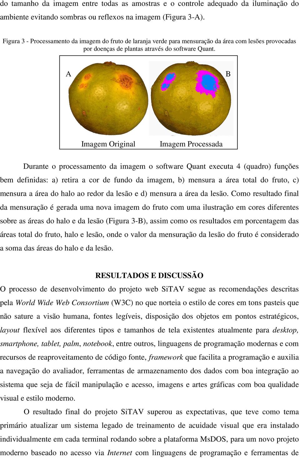 A B Imagem Original Imagem Processada Durante o processamento da imagem o software Quant executa 4 (quadro) funções bem definidas: a) retira a cor de fundo da imagem, b) mensura a área total do