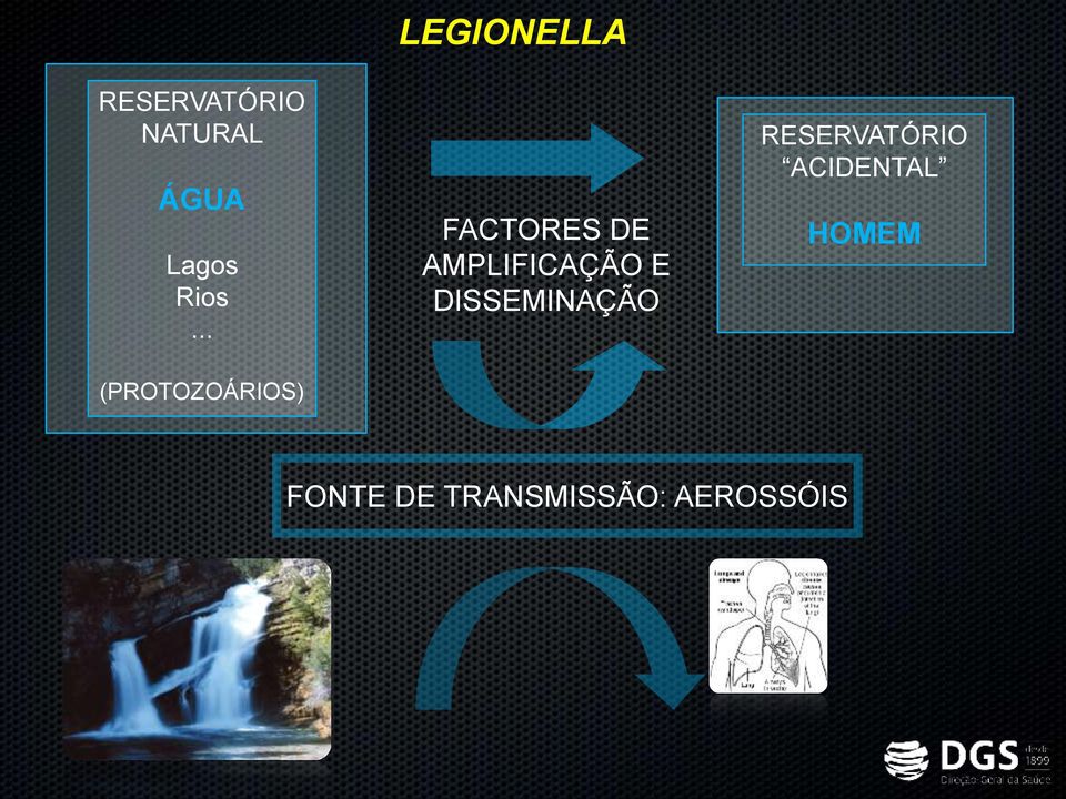 .. (PROTOZOÁRIOS) FACTORES DE