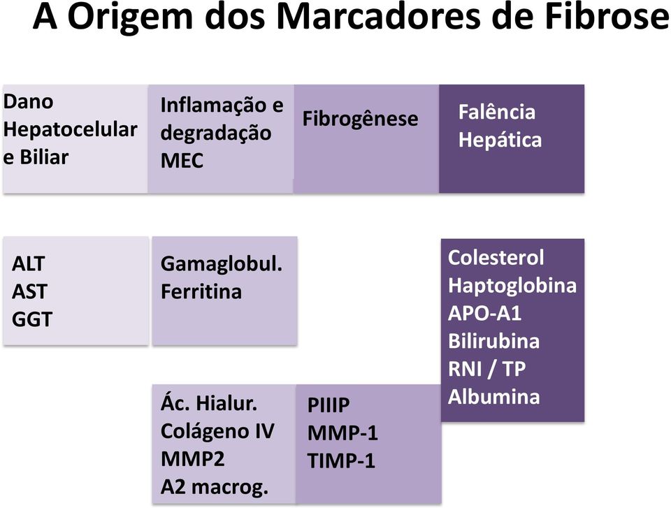 GGT Gamaglobul. Ferritina Ác. Hialur. Colágeno IV MMP2 Α2 macrog.