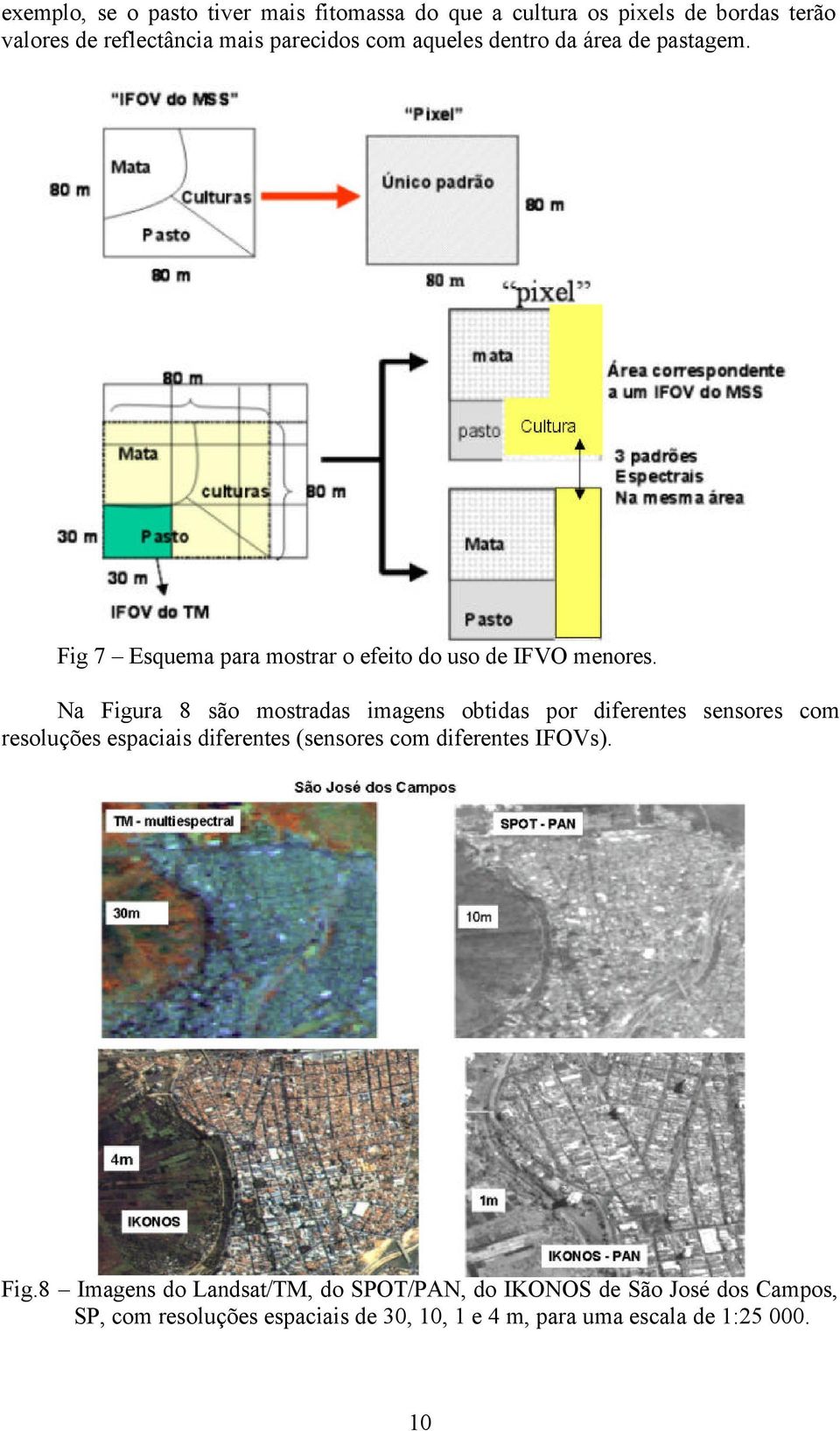 Na Figura 8 são mostradas imagens obtidas por diferentes sensores com resoluções espaciais diferentes (sensores com diferentes