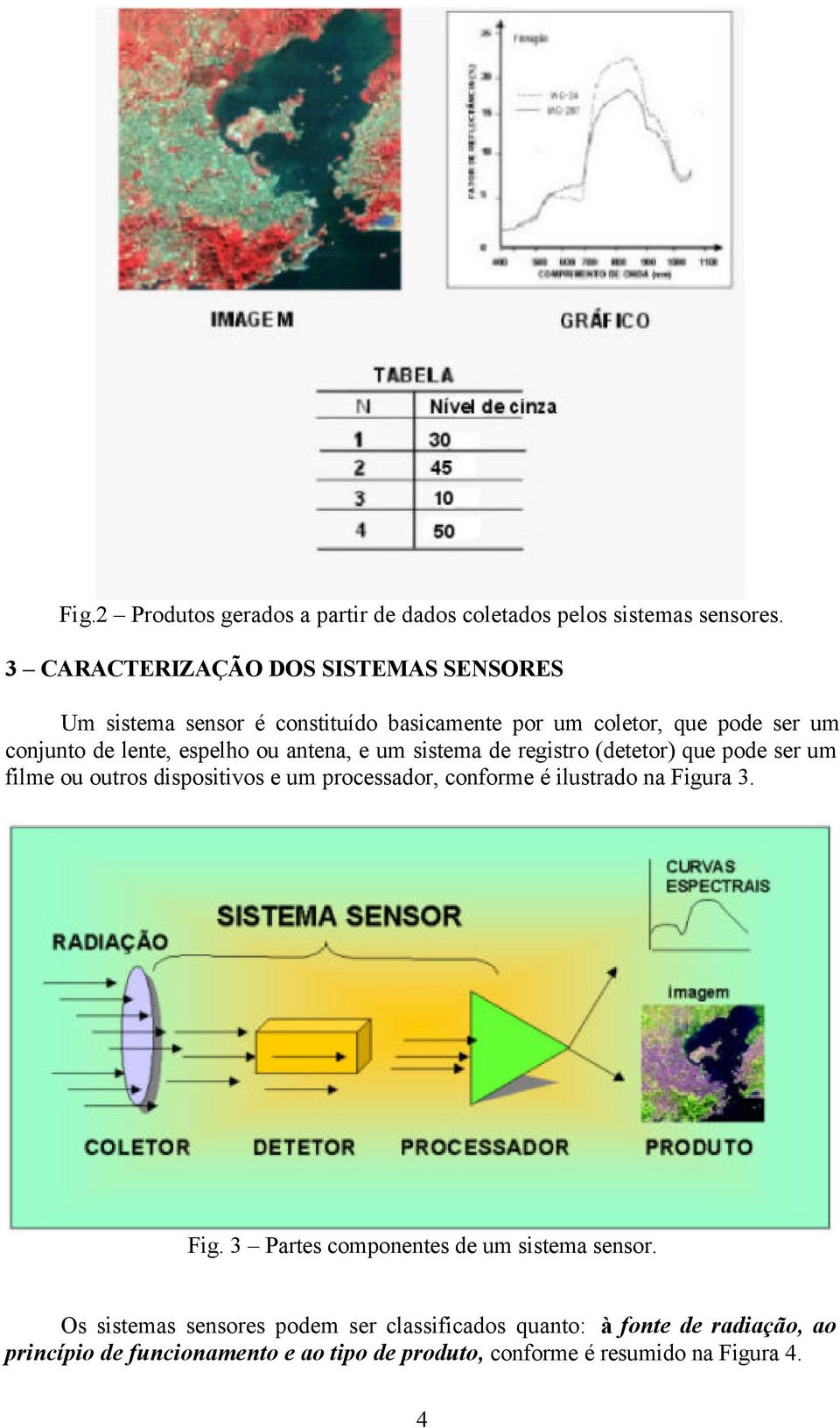 ou antena, e um sistema de registro (detetor) que pode ser um filme ou outros dispositivos e um processador, conforme é ilustrado na Figura 3.