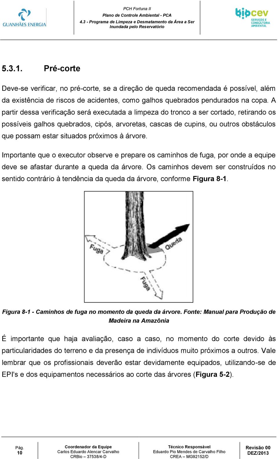 situados próximos à árvore. Importante que o executor observe e prepare os caminhos de fuga, por onde a equipe deve se afastar durante a queda da árvore.