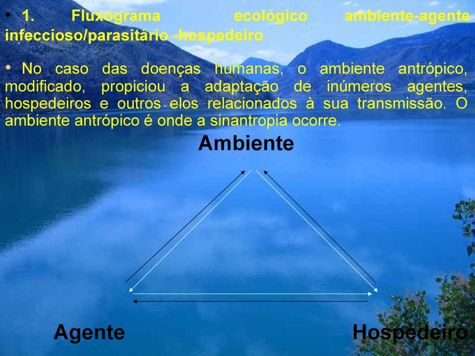 adaptação de inúmeros agentes, hospedeiros e outros elos relacionados à sua