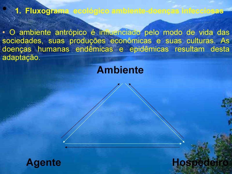 produções econômicas e suas culturas.