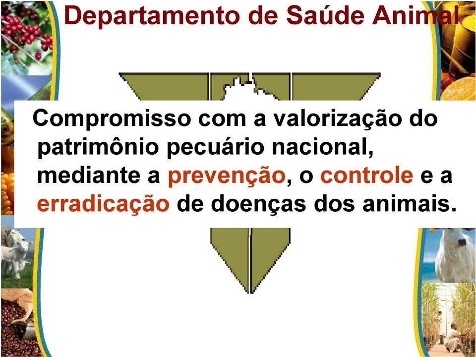 nacional, mediante a prevenção, o