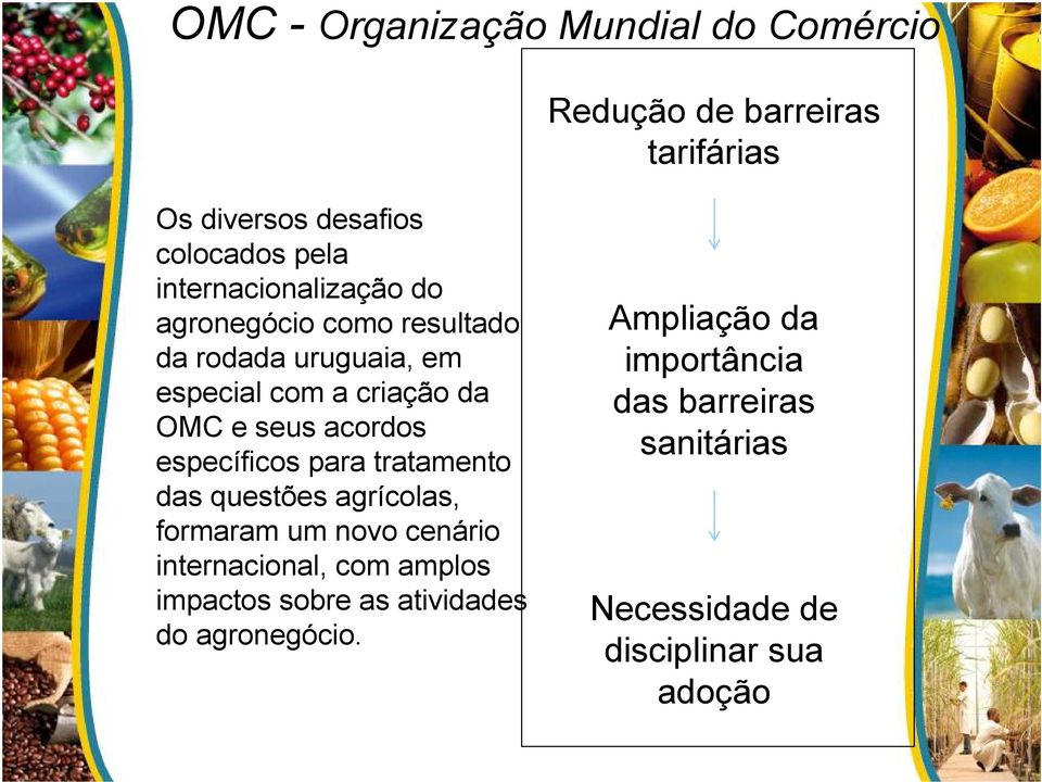 acordos específicos para tratamento das questões agrícolas, formaram um novo cenário internacional, com amplos