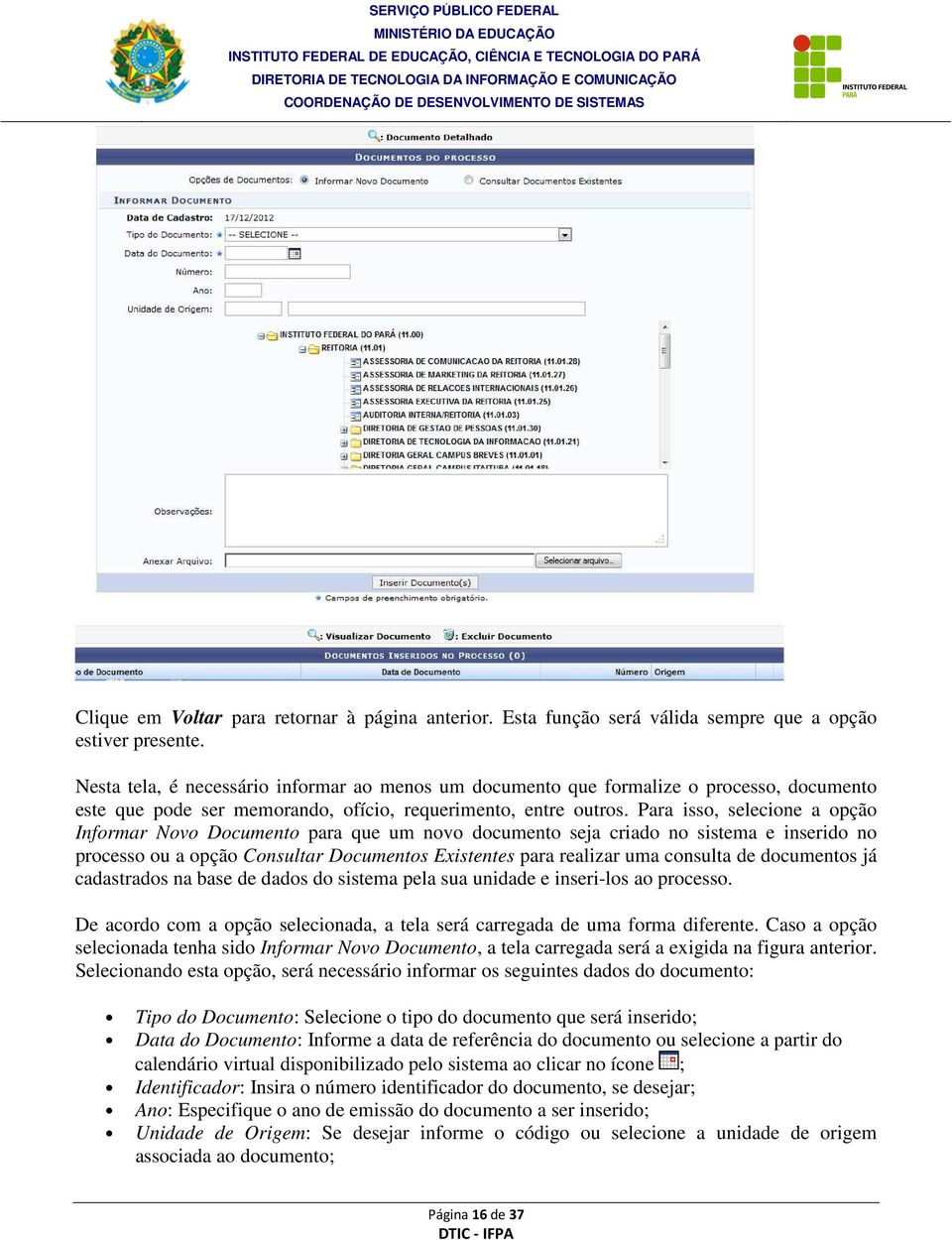 Para isso, selecione a opção Informar Novo Documento para que um novo documento seja criado no sistema e inserido no processo ou a opção Consultar Documentos Existentes para realizar uma consulta de