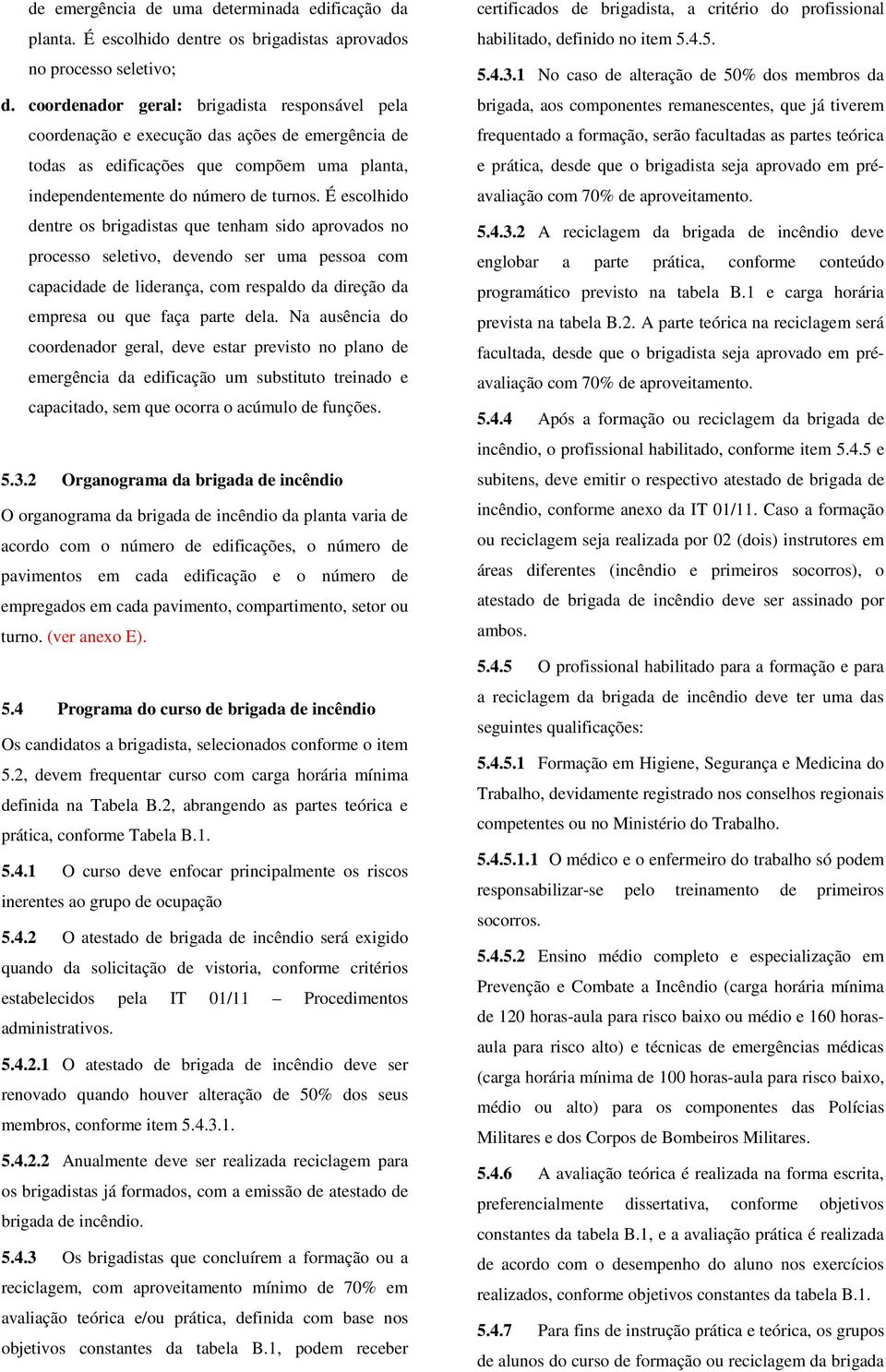 É escolhido dentre os s que tenham sido aprovados no processo seletivo, devendo ser uma pessoa com capacidade de liderança, com respaldo da direção da empresa ou que faça parte dela.