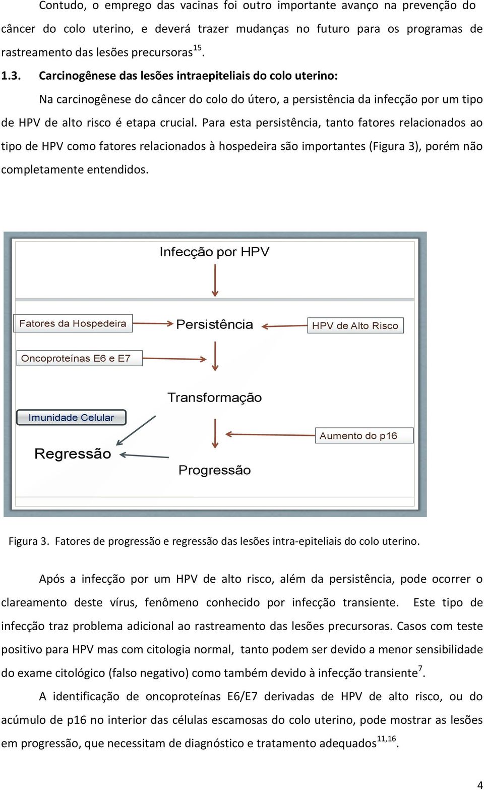 Para esta persistência, tanto fatores relacionados ao tipo de HPV como fatores relacionados à hospedeira são importantes (Figura 3), porém não completamente entendidos.