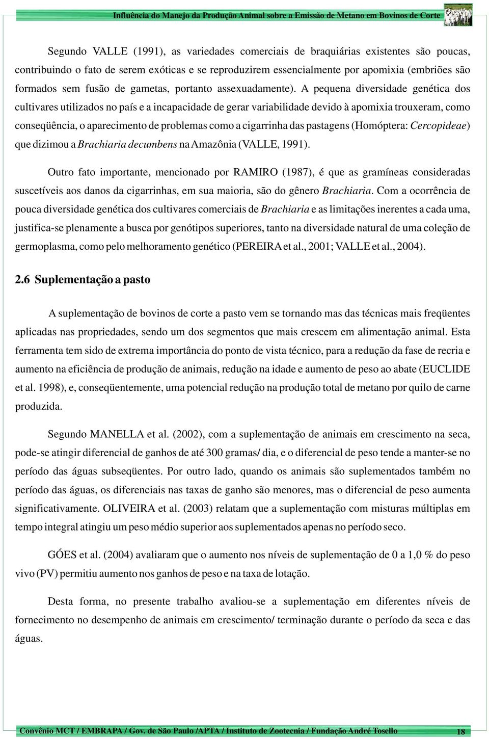 A pequena diversidade genética dos cultivares utilizados no país e a incapacidade de gerar variabilidade devido à apomixia trouxeram, como conseqüência, o aparecimento de problemas como a cigarrinha