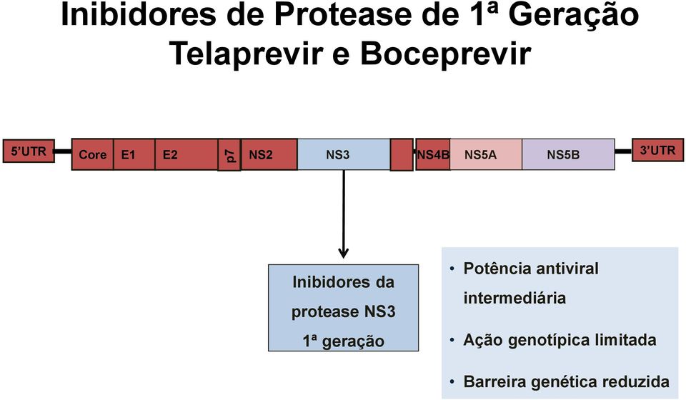 Inibidores da protease NS3 1ª geração Potência antiviral