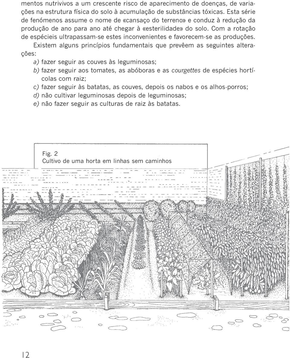 Com a rotação de espécieis ultrapassam-se estes inconvenientes e favorecem-se as produções.